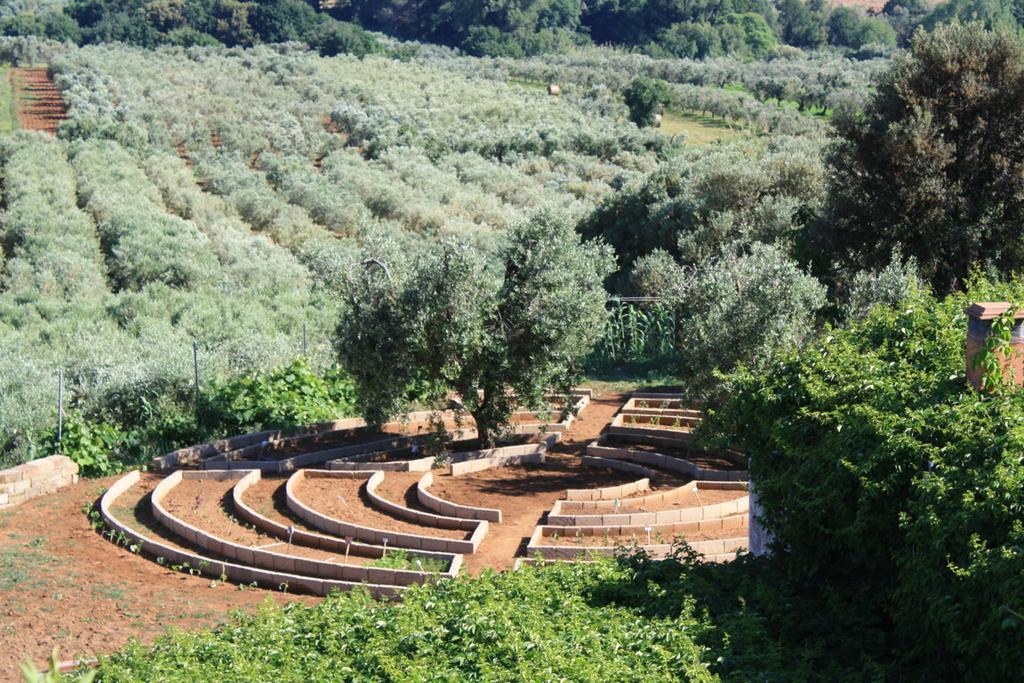 Agriturismo Ss Annunziata San Vincenzo Exterior photo